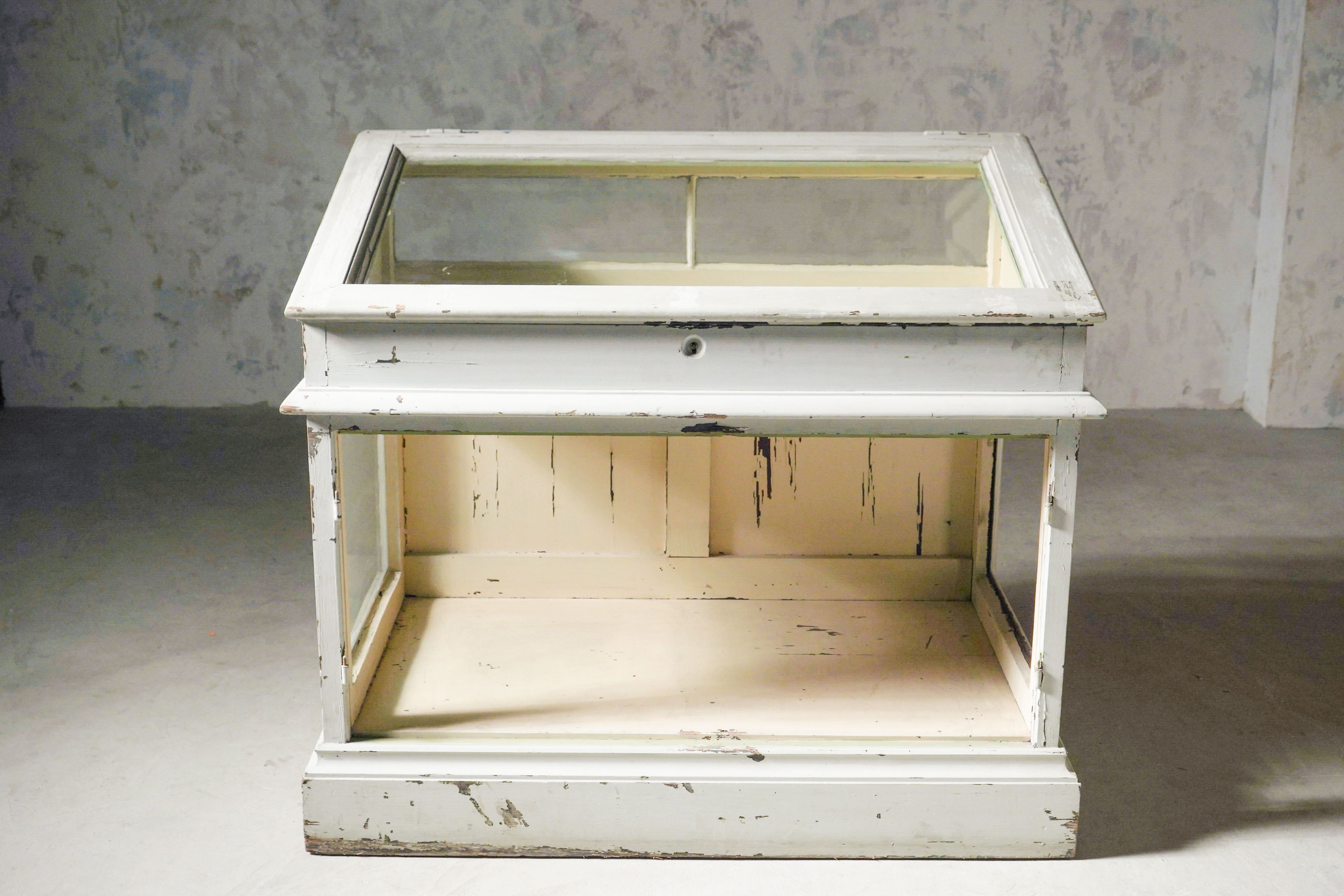 ショーケース/ディスプレイ/アンティーク/空間装飾/フランス家具/1900